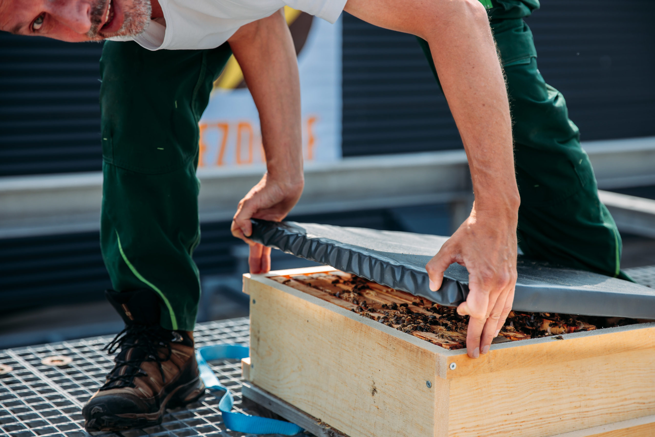 210611_Biesdorf-Center_Bienen_Teil1_0012-Kopie