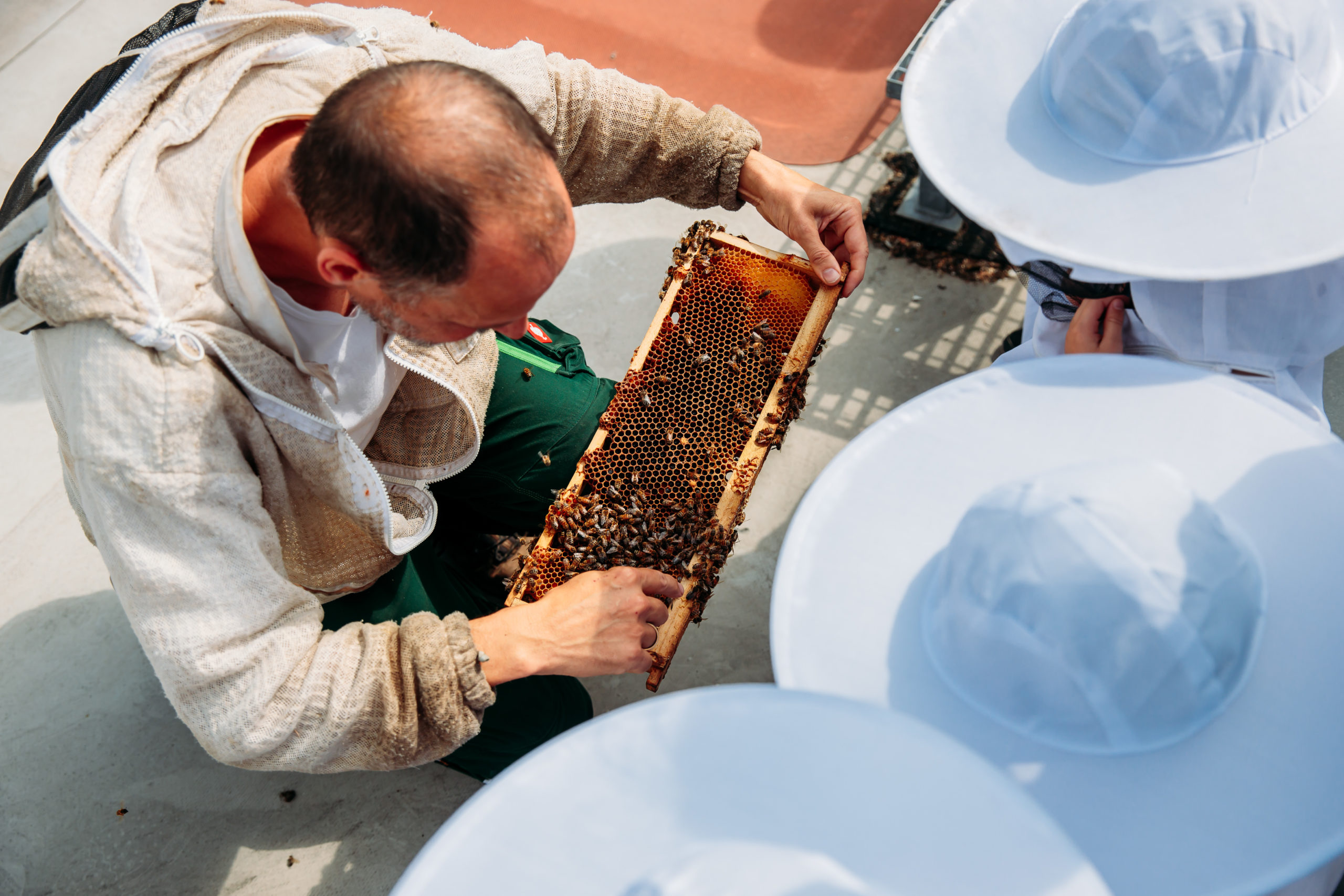210625_Biesdorf-Center_Bienen_Teil3_0017-1-scaled-1