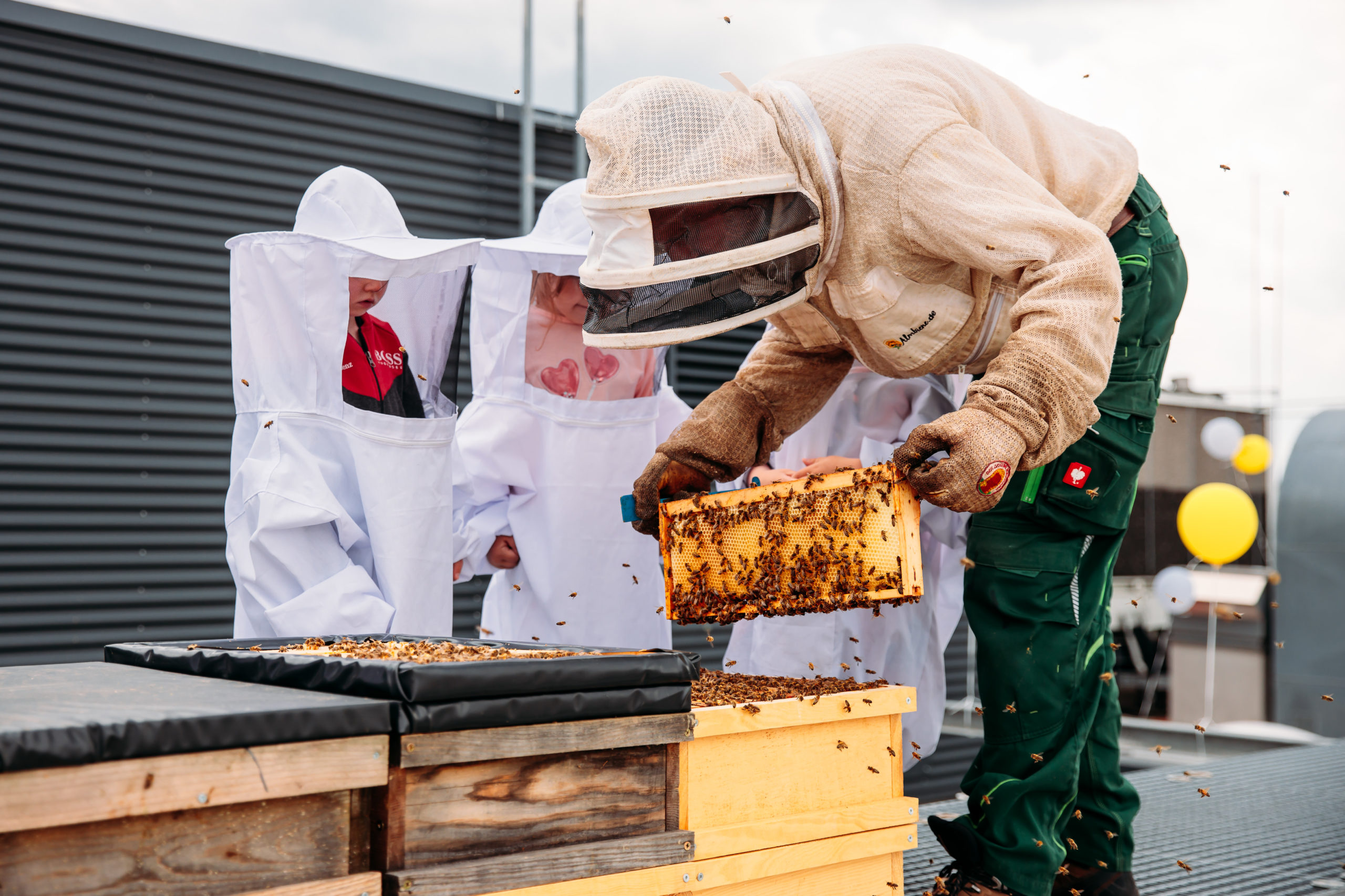 210625_Biesdorf-Center_Bienen_Teil3_0115-1-scaled-1