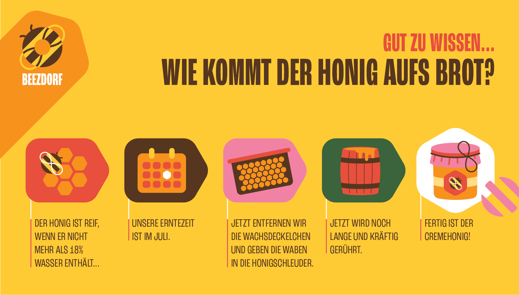 BEEZDORF-Honey-Infographics-01